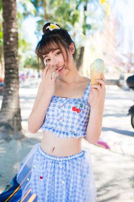 国产射频放大器