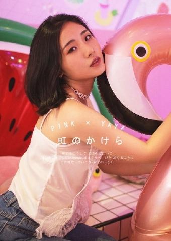 免费观看电视剧大全